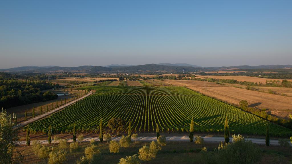 Wine Resort Conti Di San Bonifacio Ribolla Eksteriør billede
