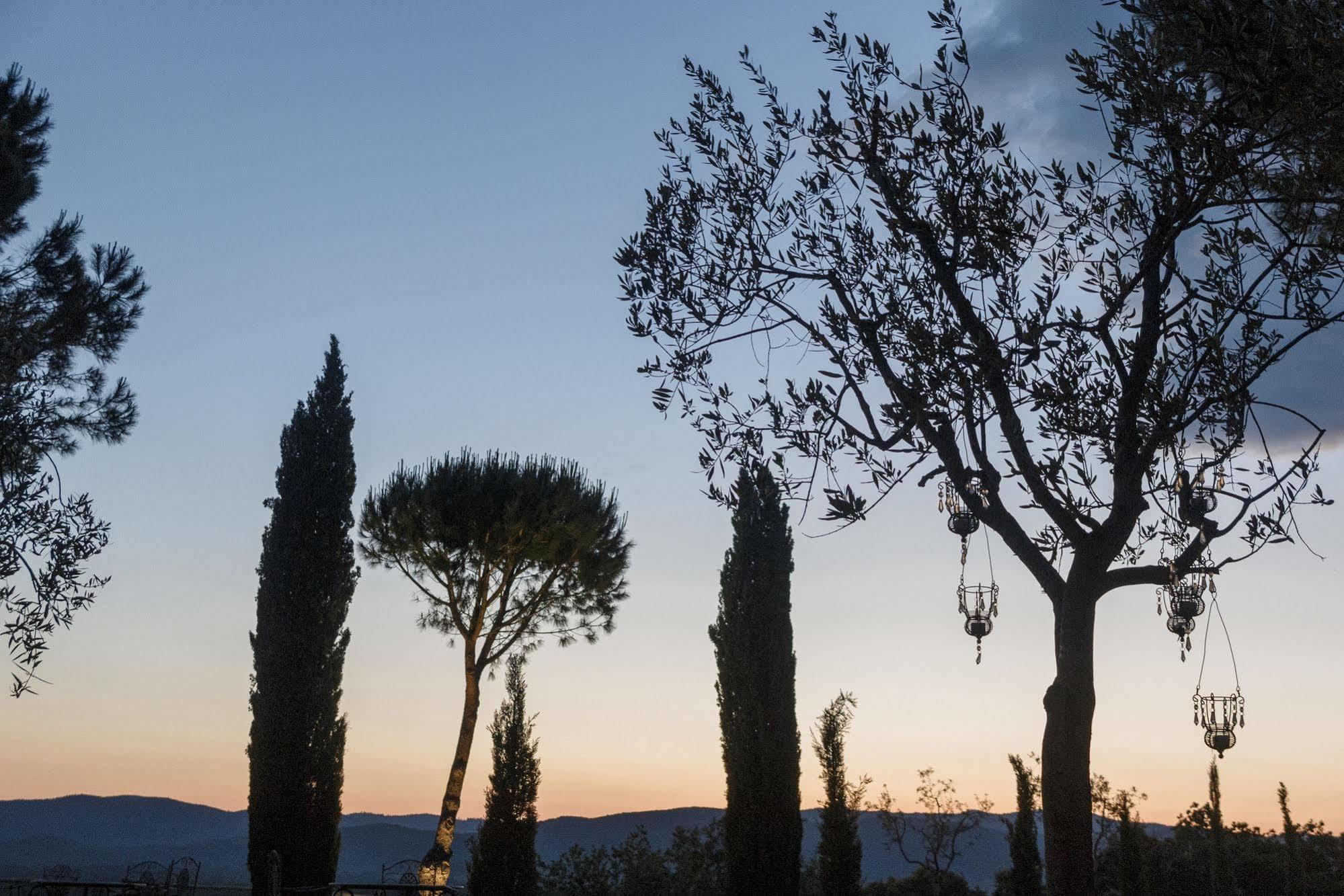 Wine Resort Conti Di San Bonifacio Ribolla Eksteriør billede